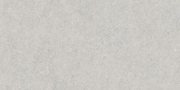 Lasselsberger Wandfliese Block 30x60cm grau matt I WADVK781