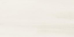 Lasselsberger Wandfliese Poem 30x60cm hellgrau glänzend I WADVK575