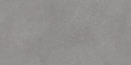 Lasselsberger Wandfliese Betonico 30x60cm grau matt I WADVK791