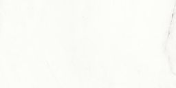 Lasselsberger Wandfliese Vein 30x60cm weiß glänzend I WAKVK133