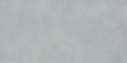 Lasselsberger Wandfliese Extra 30x60cm hellgrau matt I WADVK823