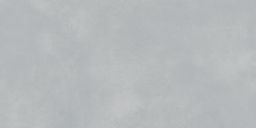 Lasselsberger Wandfliese Extra 30x60cm hellgrau matt I WARVK823