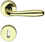 Lienbacher Rosettengarnitur Ariane Messing poliert elettroforesi BB 8 mm