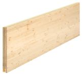 LITEC Sanierungsleiste Fix - 2500 x 600 x 82 mm