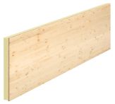 LITEC Sanierungsleiste Standard - 2500 x 1250 x 82 mm