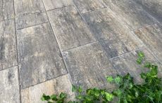 Gala-Lusit Crescendo Ambiente Garten- und Terrassenplatte 60x30x5 cm - Muschelkalk mit Minifase