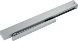 NW Freil.-Gleits.-Türschl.TS 99 FLR Kopfmont.Bands.silber EN 2-5 (3000207281)