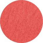 NW Schleifblatt CER CO-COOL D.50mm K.36 13000min-¹ PFERD (4000844516)