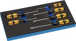 NW Schraubendrehersatz B.185xT.385xH.30mm1/3 Werkzeugm. 6-tlg.Schlitz+PH 6KT Ansatz (4000871286)