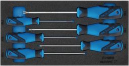 NW Werkzeugmodul T.310mmxB.157,5mm 6tlg. Schraubendreher TX GEDORE (4000881217)