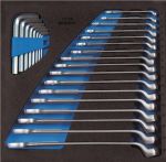 NW Werkzeugmodul 1500 CT2-1 B T315xB310mm 25-tlg.Ringmaul-/Stiftschlüsselsatz (4000881238)