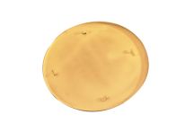 Norton Clipper Glättteller CT901