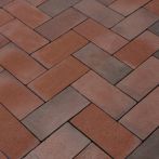 Penter Pflasterklinker Bockhorn ohne Fase | 220x108x52 mm | Bunt