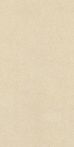 RAK Ceramics Feinsteinzeug 30 x 60 cm GEMS beige matt