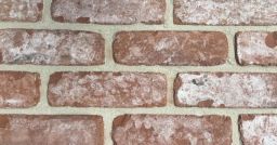 Rijswaard Verblender Wisconsin Formback WDF Antik - 215x100x65 mm