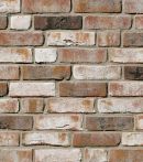 Röben Handform Riemchen GEESTBRAND NF 14 mm felsgrau weiß braun anthrazit bunt