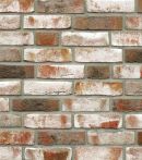 Röben Handform Riemchen GEESTBRAND NF 14 mm grauweiß grau weiß rot braun bunt