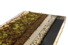 Skan Holz Dachbegrünung Emsland/Wendland, 350x600 cm