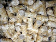 Trendy Feueranzünder 100 % Kiefern-Holzwolle - 100 Stück