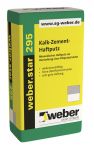 weber.star 295 Kalk-Zement-Haftputz naturgrau 1 mm 30 Kg