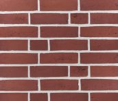Terca Vormauerziegel VMz 16-2,0-DF voll HKS Rot nuanciert wasserstrich | Wienerberger