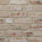 Terca Vormauerziegel VMz 20-1,6-NF Levanto gelbbunt geschlämmt Retro | Wienerberger