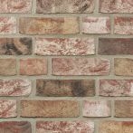 Terca Vormauerziegel VMz 20-1,8-NF Pastorale rotbunt Handform | Wienerberger