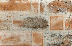 Ziro Wandkork-Wanddesign Wandplatte | Vintage weiß lasiert 10 mm