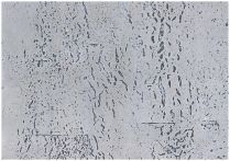 Ziro Veredelter Wandkork-Wanddesign | 600x300x3 mm | Sky on Basalt 3 mm