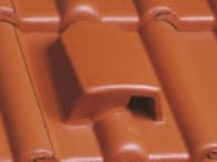 Braas Frankfurter Pfanne Protegon Fledermausstein (5125984) Protegon Matt ziegelrot