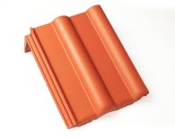 Braas Frankfurter Pfanne Protegon Pultstein (5123185) Protegon Matt klassisch-rot