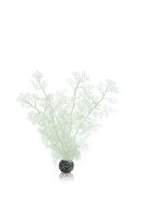 OASE biOrb Hornkoralle - Größe M