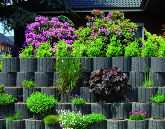 Gala-Lusit Pflanzring Pflanzstein Gro 48x30 cm - Anthrazit mit Fase  (4040934115650)