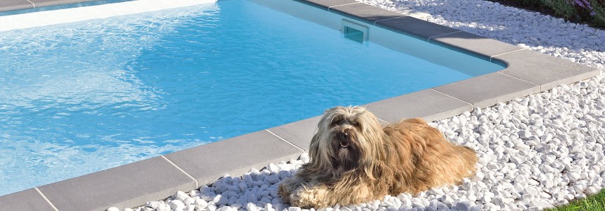 WW Beckenrandsteine Margo WW Beckenrandsteine Margo