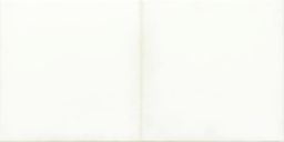 Lasselsberger Wandfliese 20x40cm RETRO WARMB521 weiß glänzend