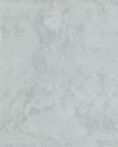 Lasselsberger Wandfliese 20x25cm NEO WATGY150 grau glänzend