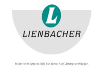 Lienbacher Rosettengarnitur Metro Slim-Klip Edelstahl matt gebürstet