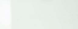 Novabell Wandfliese 45x120cm NOVA GLOBAL bianco glänzend | GBW812R