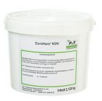 P&T Acrylharzmörtel EuroHarz KDV 2K 2,125 Kg + Härter 0,375 Kg Dose - 2,5 Kg