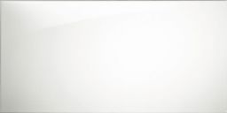 T-Trading Wandfliese 30 x 60 cm weiß glänzend JA6000 kalibriert