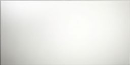 T-Trading Wandfliese 30 x 60 cm weiß matt JNC6000 nicht rektifiziert
