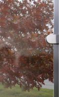 GroJa Ambiente Glaszaun senkrecht 120 x 180 x 0,8 cm Klarglas, ohne Pfosten